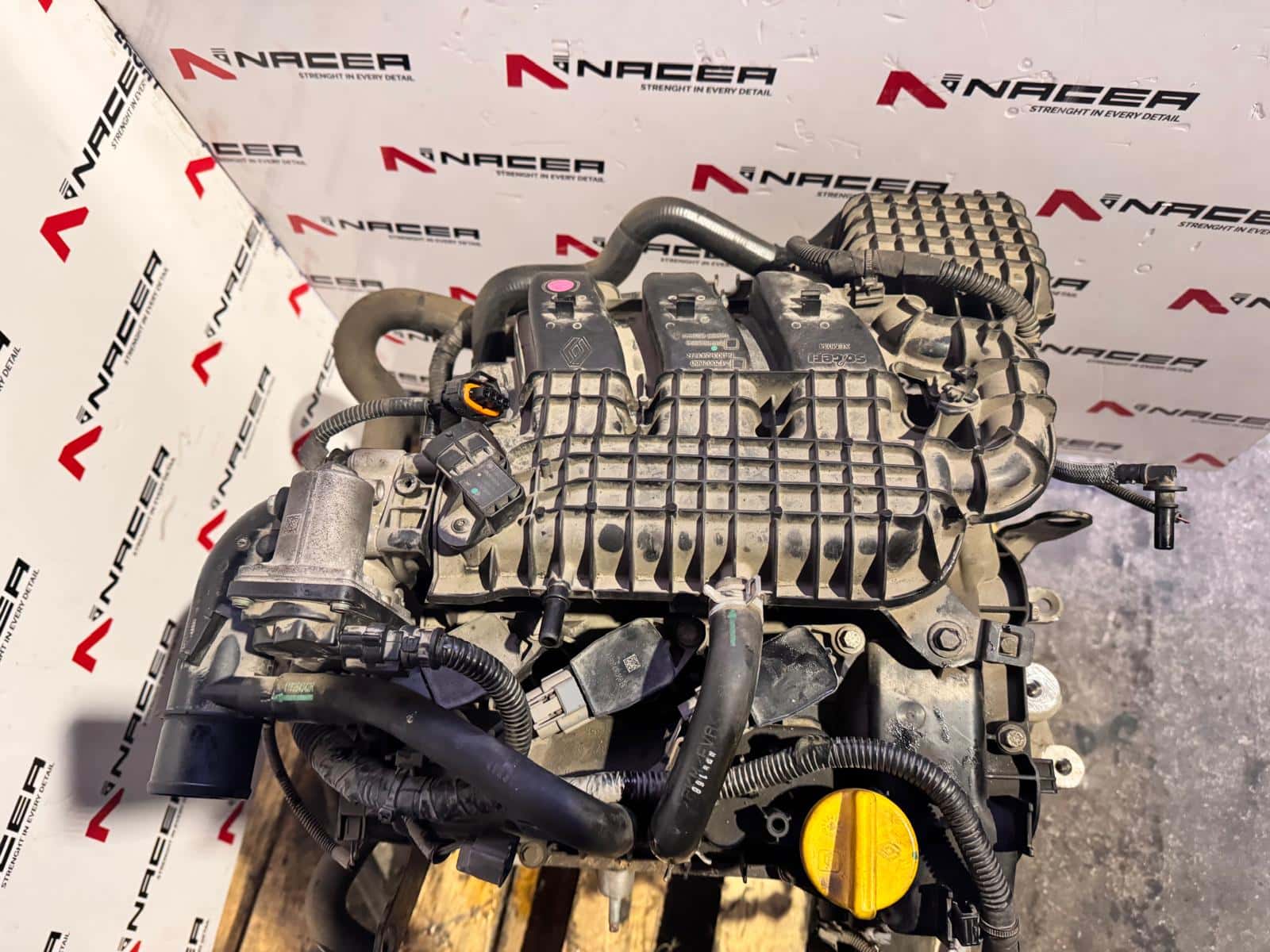 Миниатюра 4